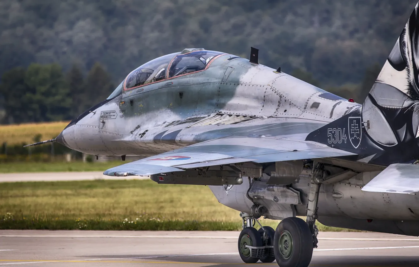 Photo wallpaper fighter, The MiG-29, Mikoyan Guervich, MiG-29UB