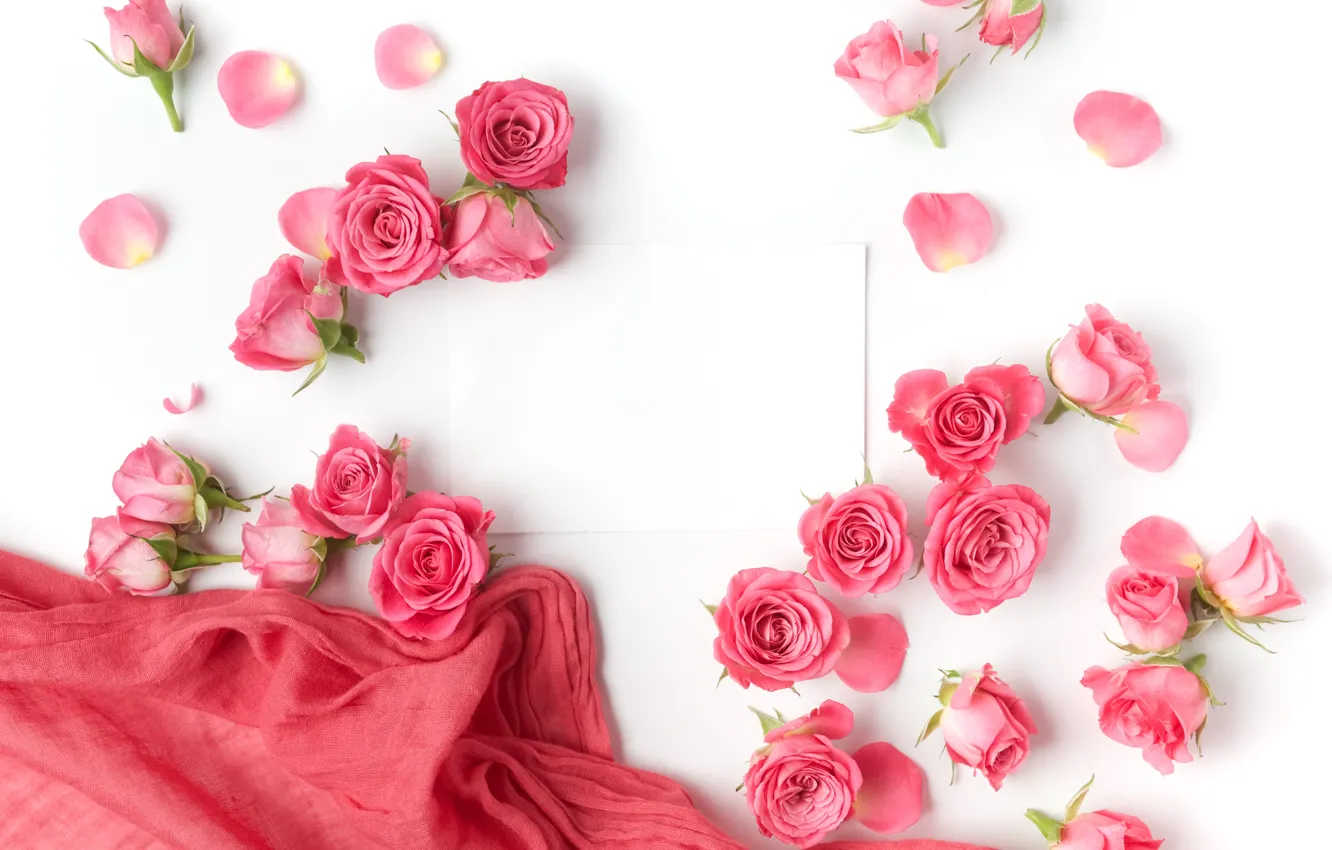 Photo wallpaper roses, buds, pink, flowers, romantic, roses, valentine`s day