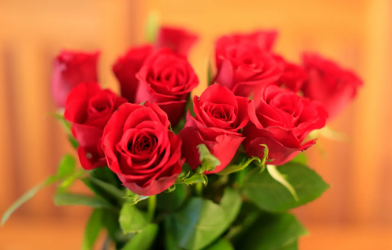 Photo wallpaper roses, bouquet, buds