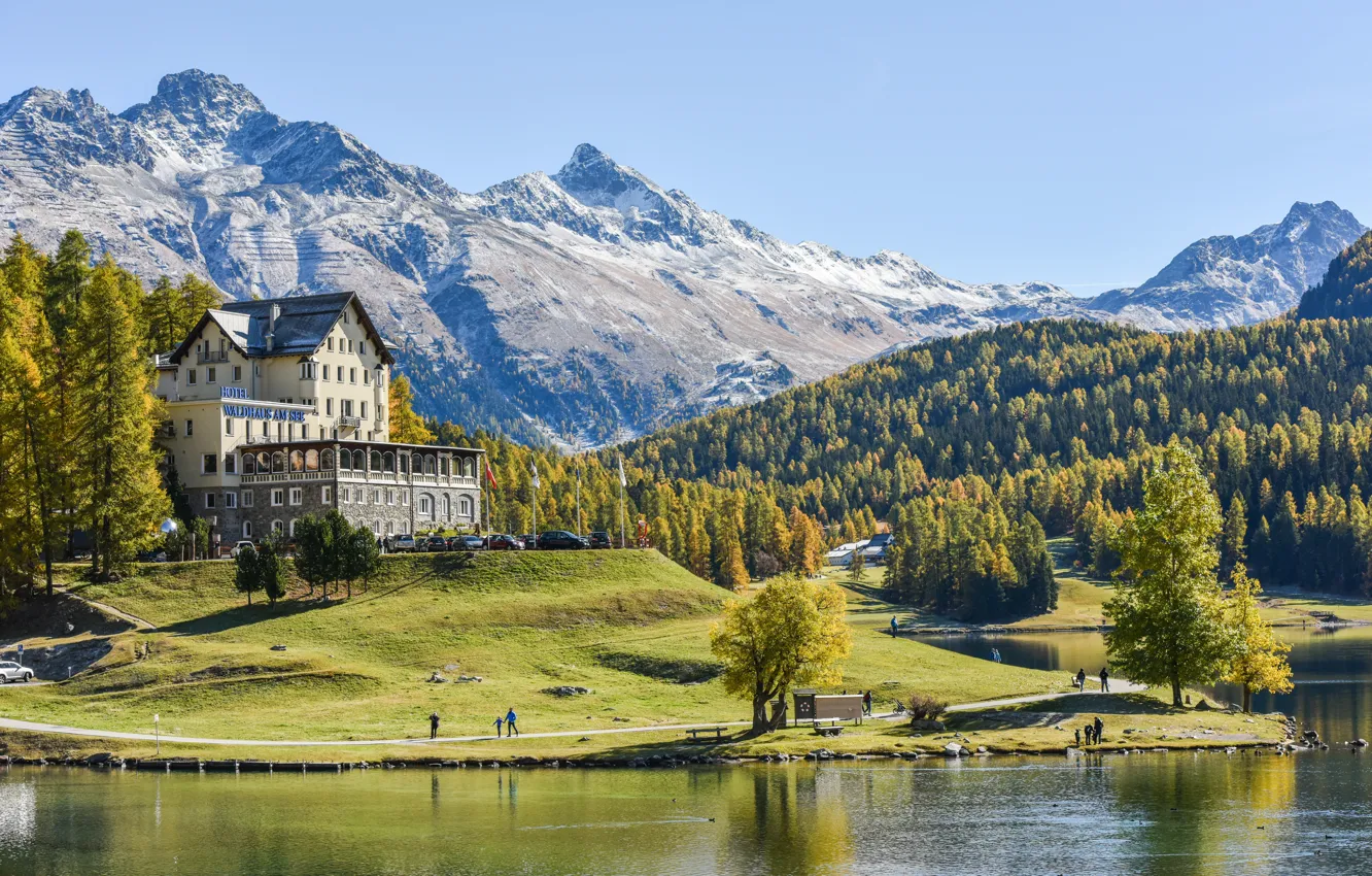 Photo wallpaper forest, trees, mountains, Alps, the hotel, Sveicarija