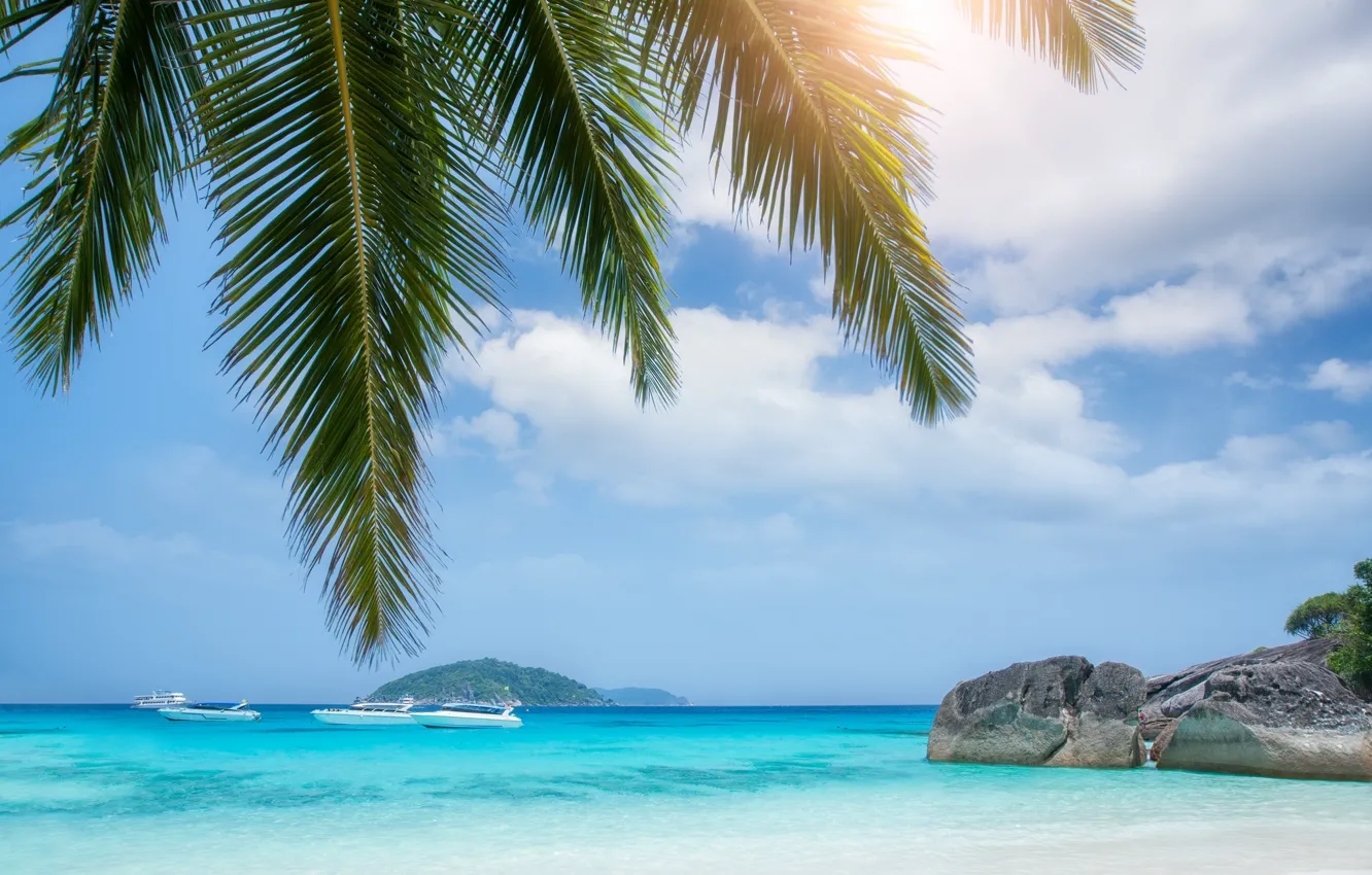 Photo wallpaper sand, sea, beach, leaves, water, the sun, palm trees, Paradise