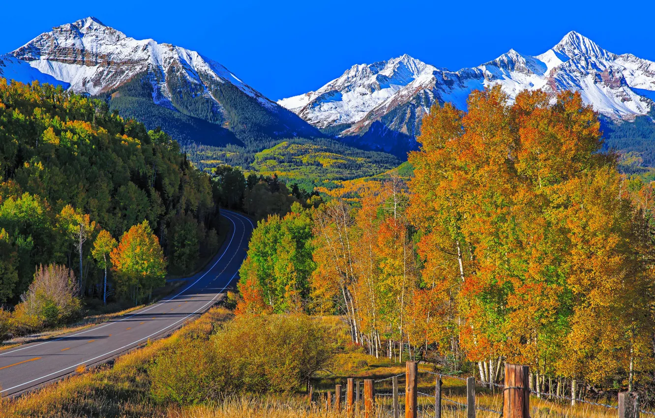 Photo wallpaper road, autumn, trees, mountains, Colorado, USA, Telluride