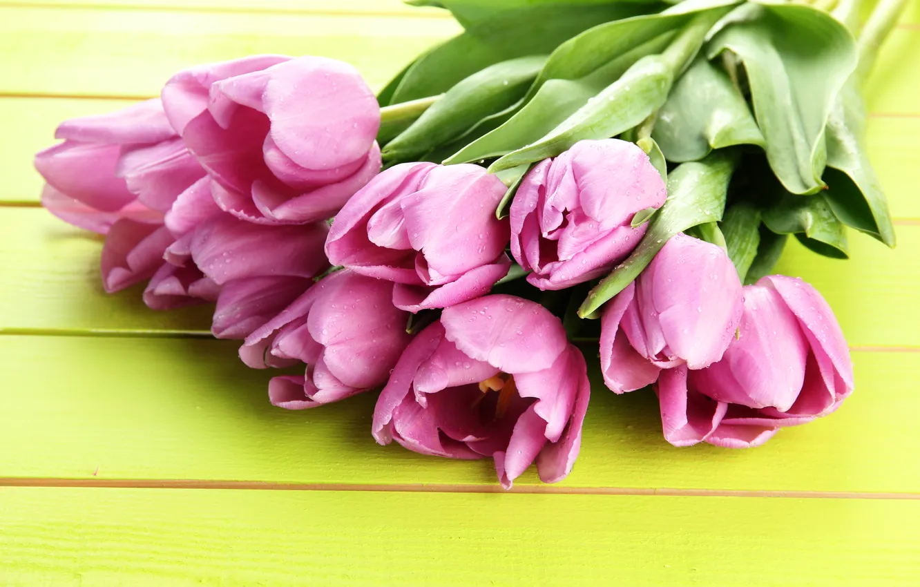 Photo wallpaper flowers, bouquet, tulips, wood, pink, flowers, tulips, spring