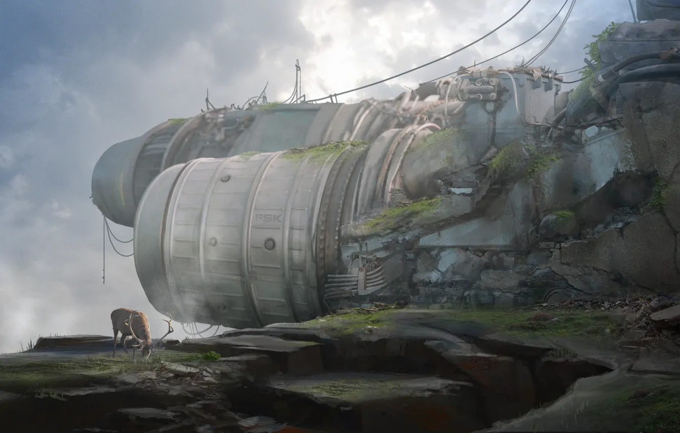 Photo wallpaper wire, deer, cliffs, the clash between nature Vs industrialization, 4th World