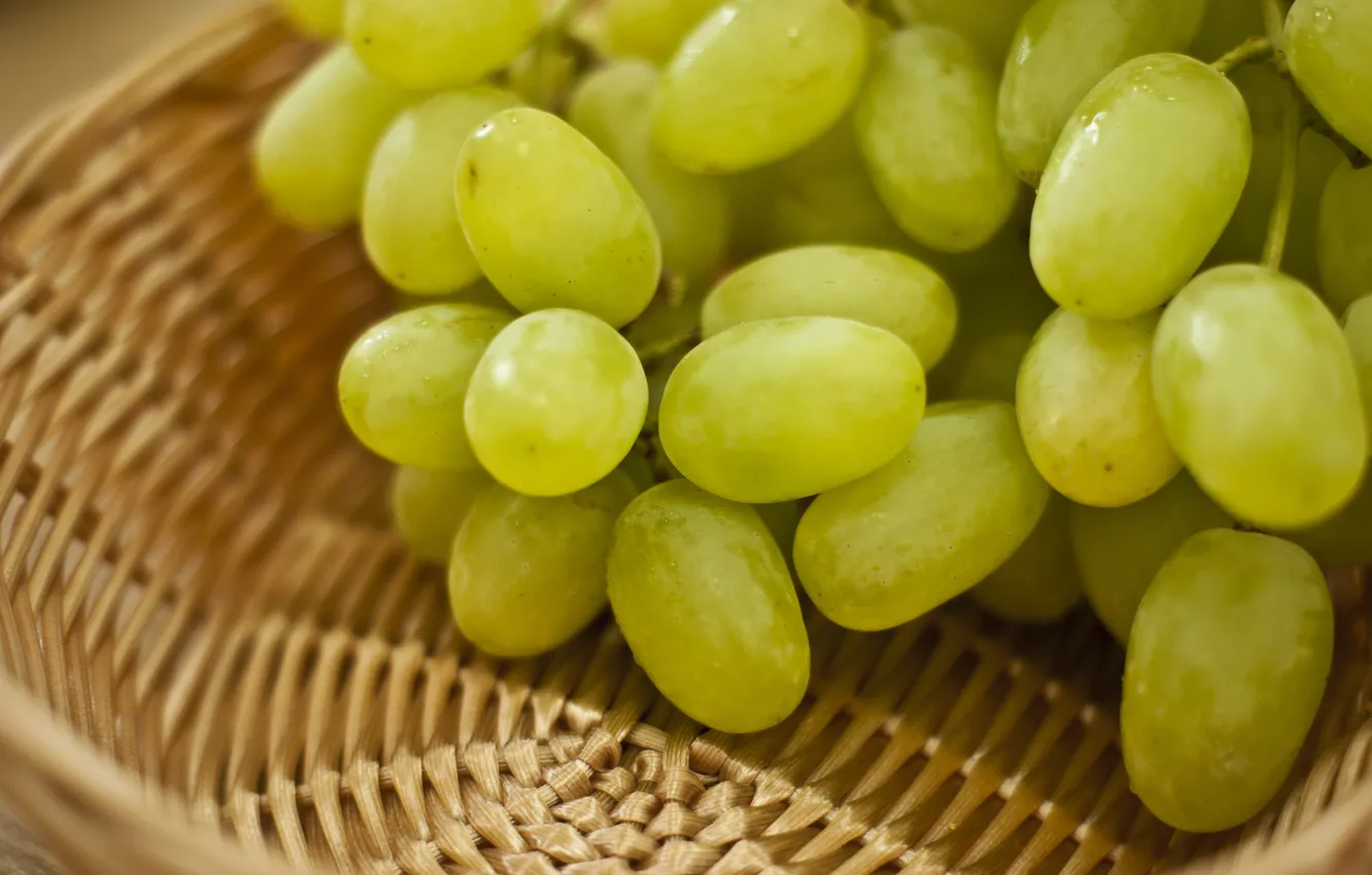 Photo wallpaper green, grapes, fruit, green