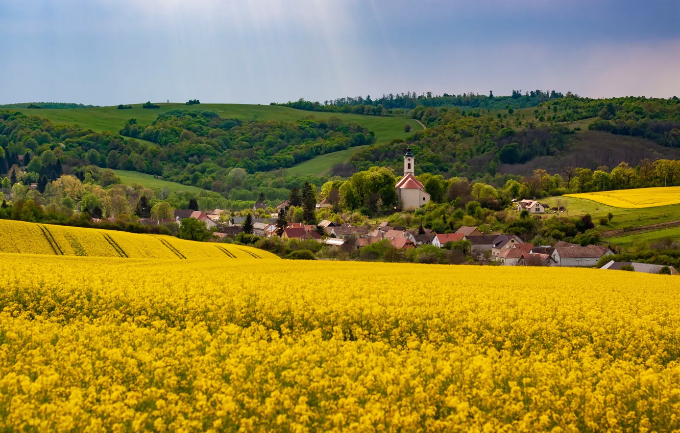 Photo wallpaper flowers, house, settlement, rape, rapeseed field