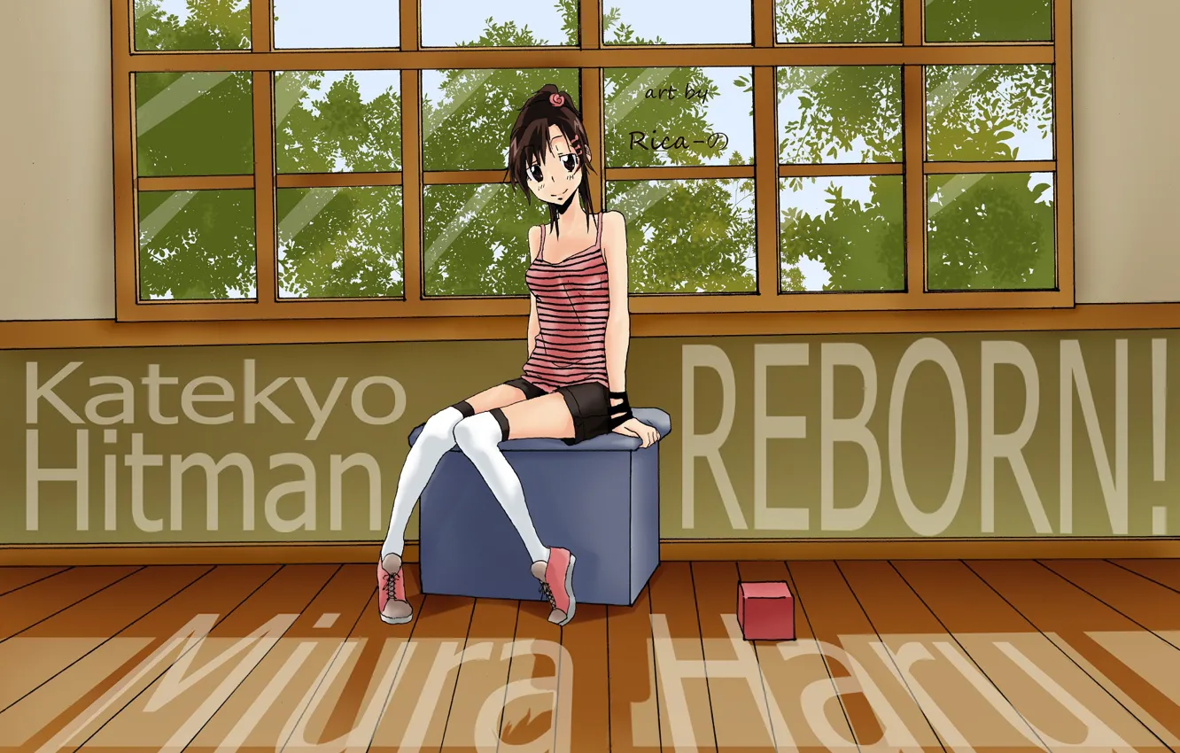 Photo wallpaper katekyo Hitman reborn, Teacher mafia Reborn, Miura Haru