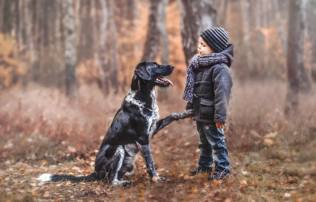 Photo wallpaper each, mood, dog, boy