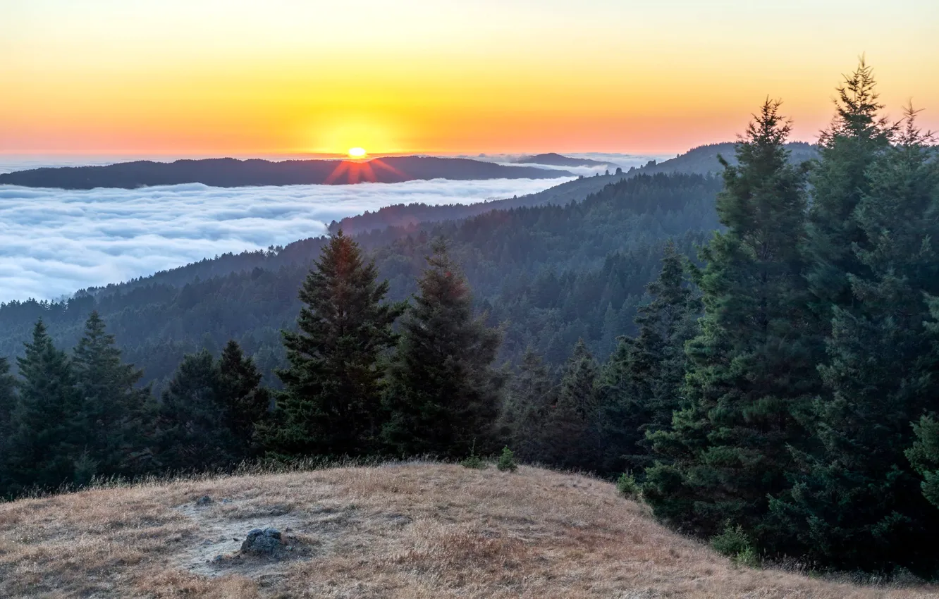 Photo wallpaper United States, California, The Baulines, Mount Tamalpais