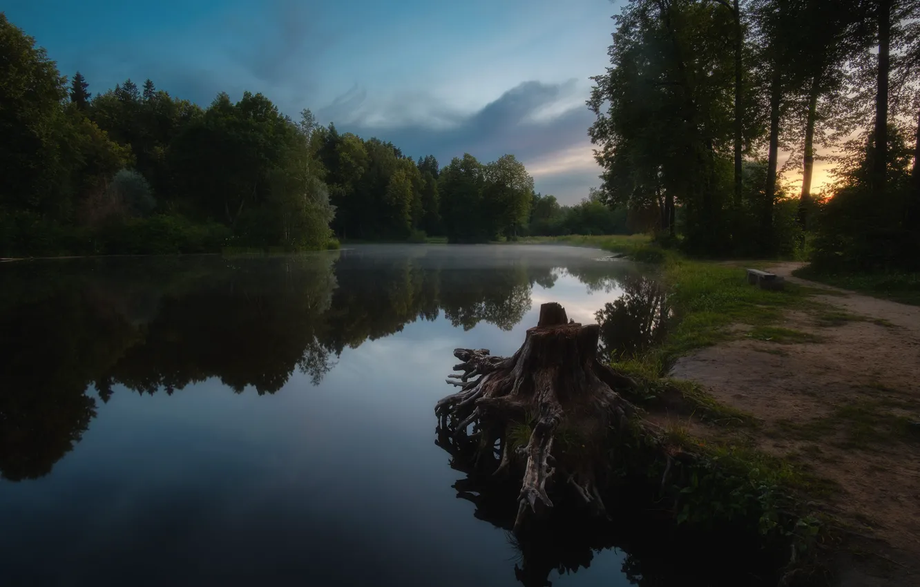 Photo wallpaper forest, landscape, sunset, nature, lake, reflection, the evening, twilight