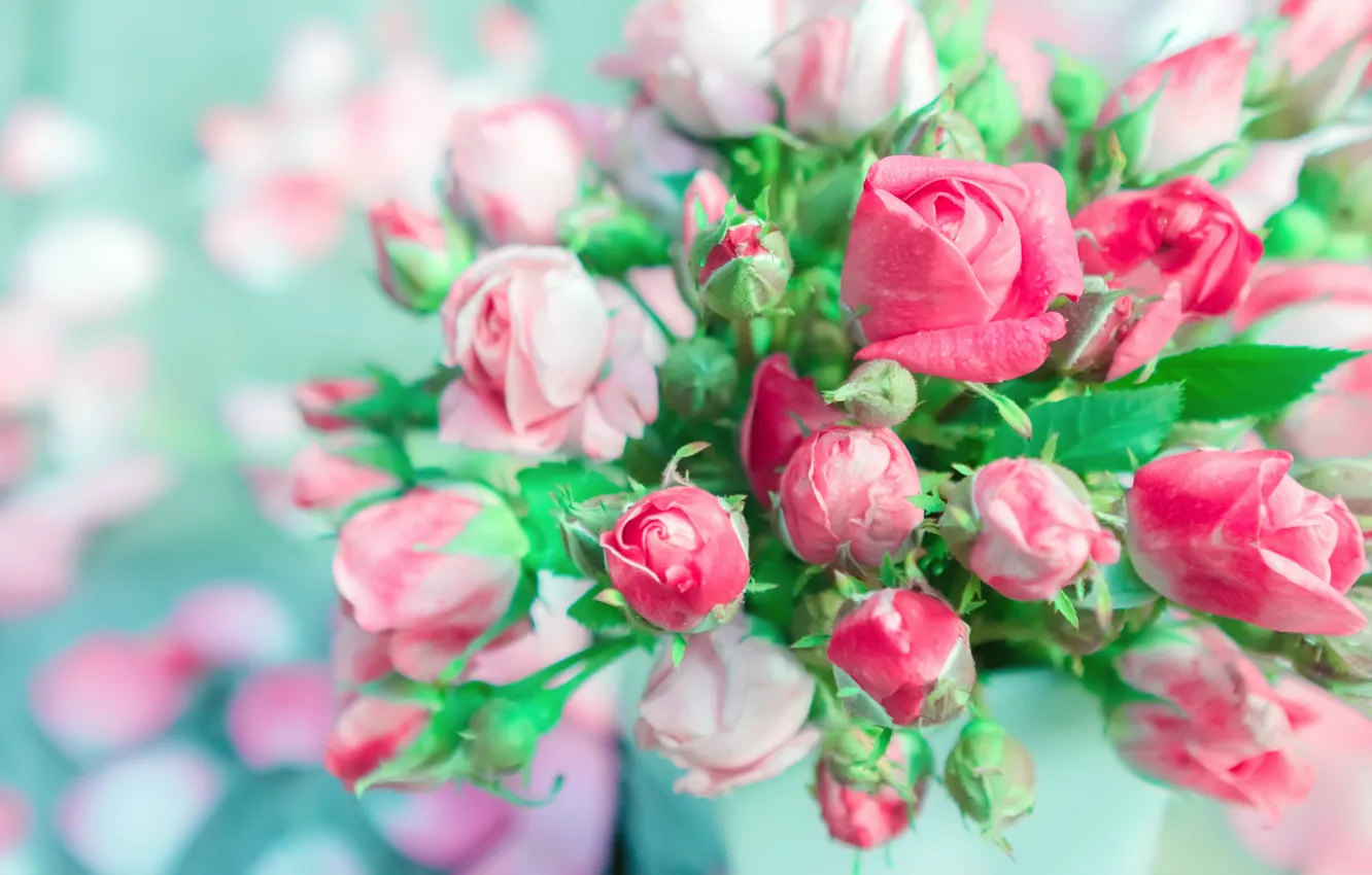 Photo wallpaper roses, bouquet, buds, bokeh