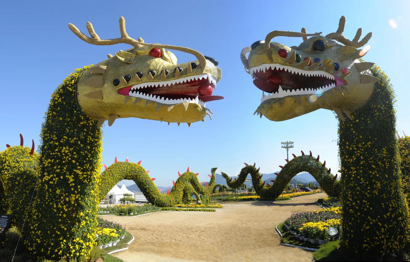 Photo wallpaper dragon, garden, festival
