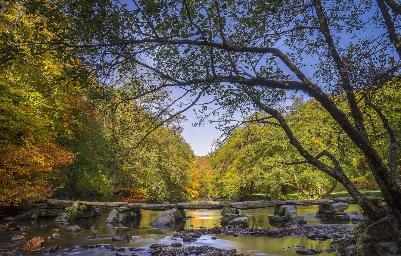 Photo wallpaper autumn, forest, trees, river, England, bridges, England, Somerset