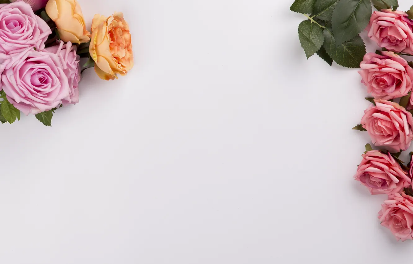 Photo wallpaper flowers, orange, roses, bouquet, colorful, pink, buds, decor