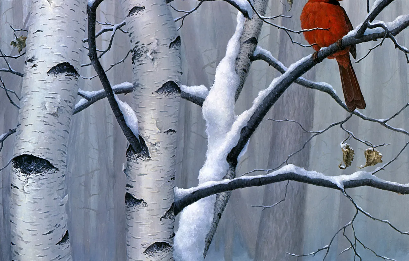 Photo wallpaper winter, forest, snow, trees, branches, red, nature, bird
