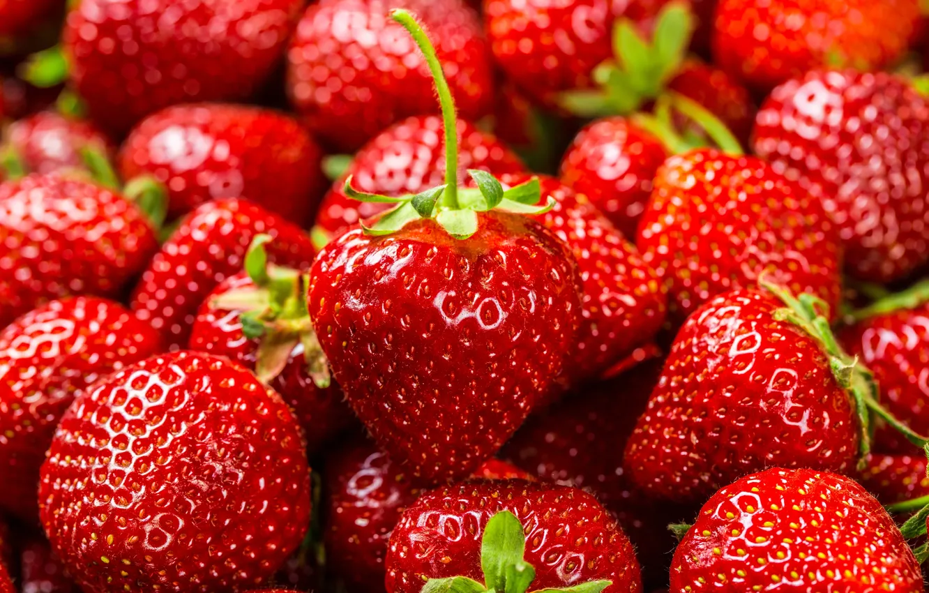Photo wallpaper berries, background, strawberry, strawberry, fresh berries