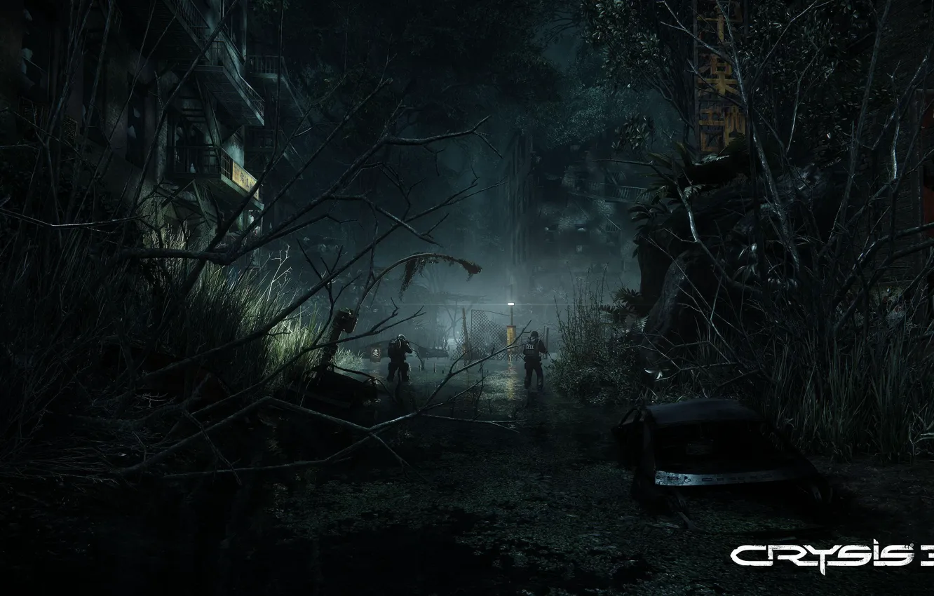 Photo wallpaper light, night, branches, the city, swamp, soldiers, the ruins, the bushes