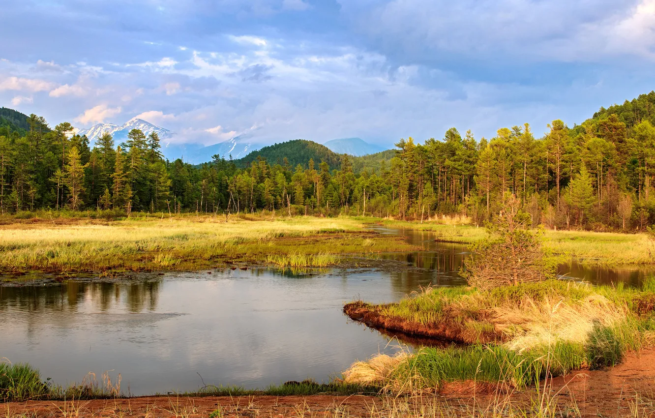 Photo wallpaper forest, clouds, trees, mountains, horizon, pond, the beauty of nature, Picturesque Landscape