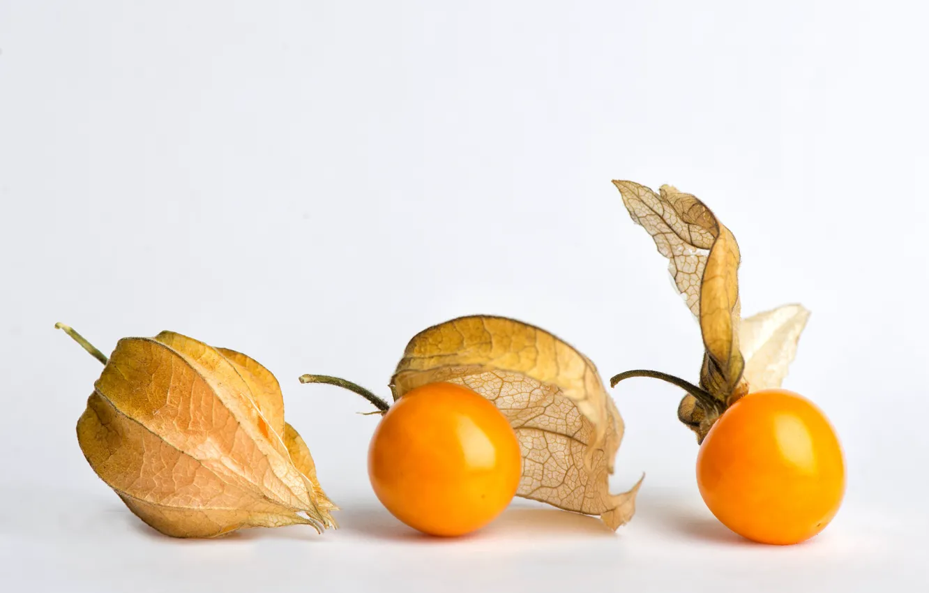 Photo wallpaper orange, berries, seeds, fruit, white background, physalis