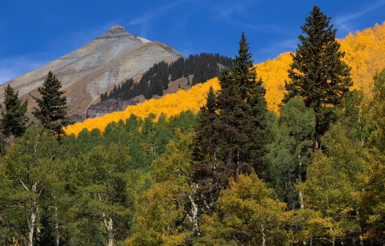 Photo wallpaper autumn, forest, trees, mountains, yellow, green, blue, hills