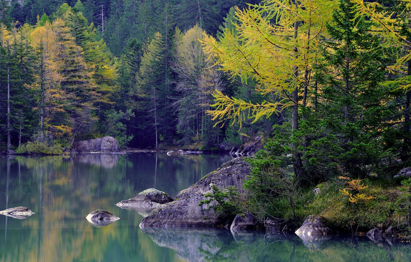 Photo wallpaper autumn, forest, trees, mountains, lake, stones