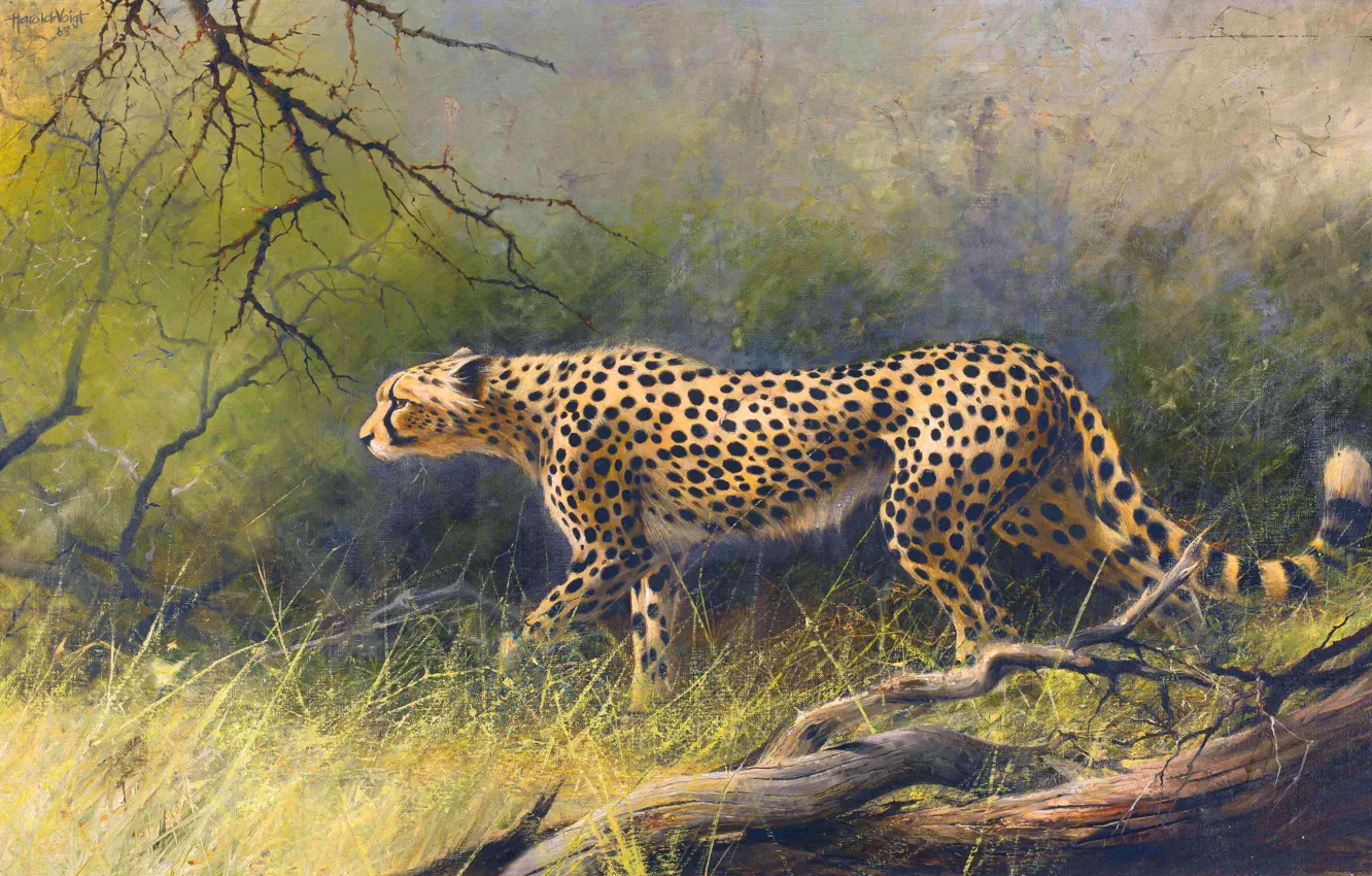 Photo wallpaper grass, trees, picture, Cheetah, South African artist, Harold Voigt, Harold Voigt