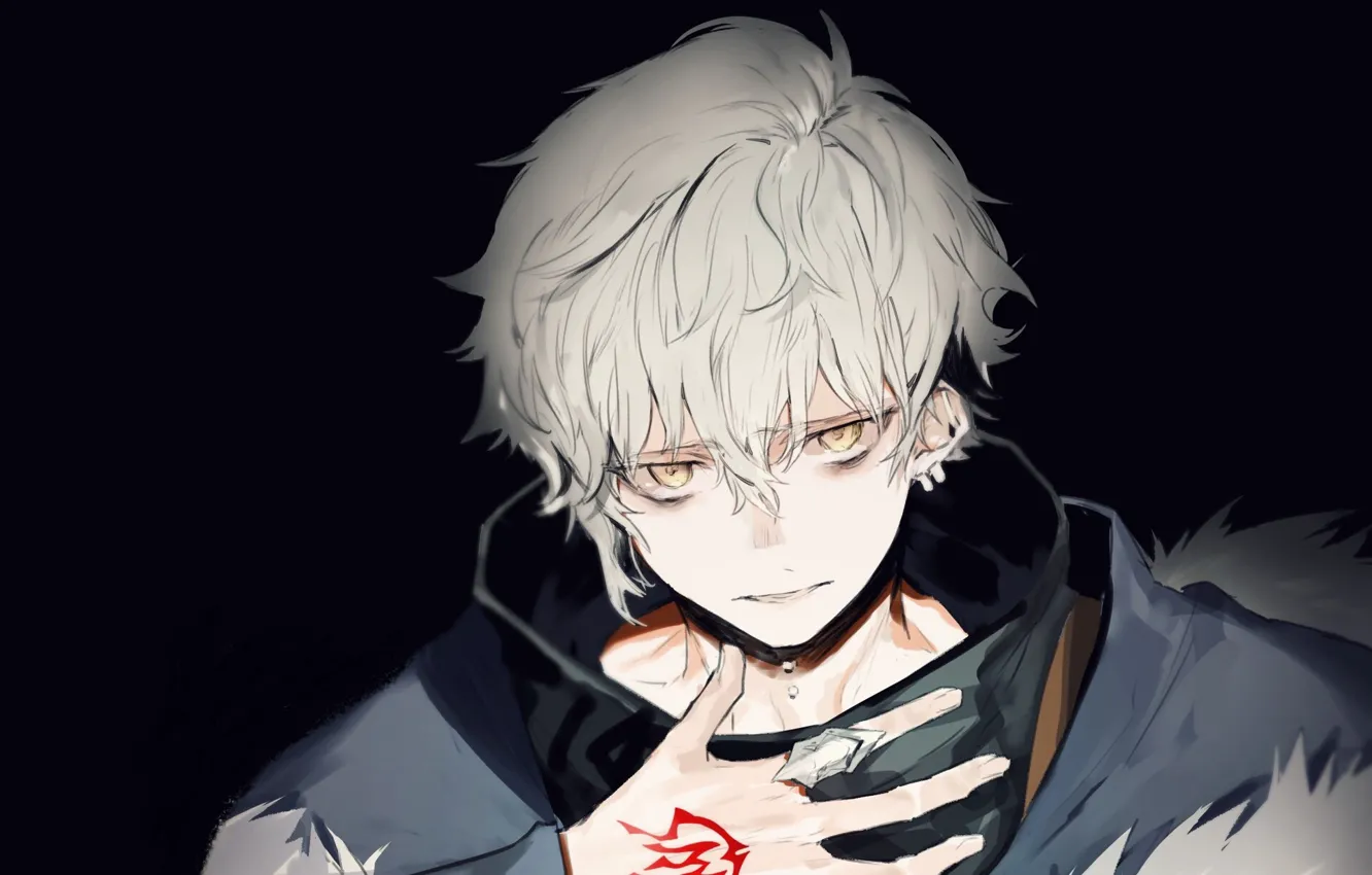 Photo wallpaper guy, Fate / Grand Order, The destiny of a great campaign, Kadoc Zemlupus