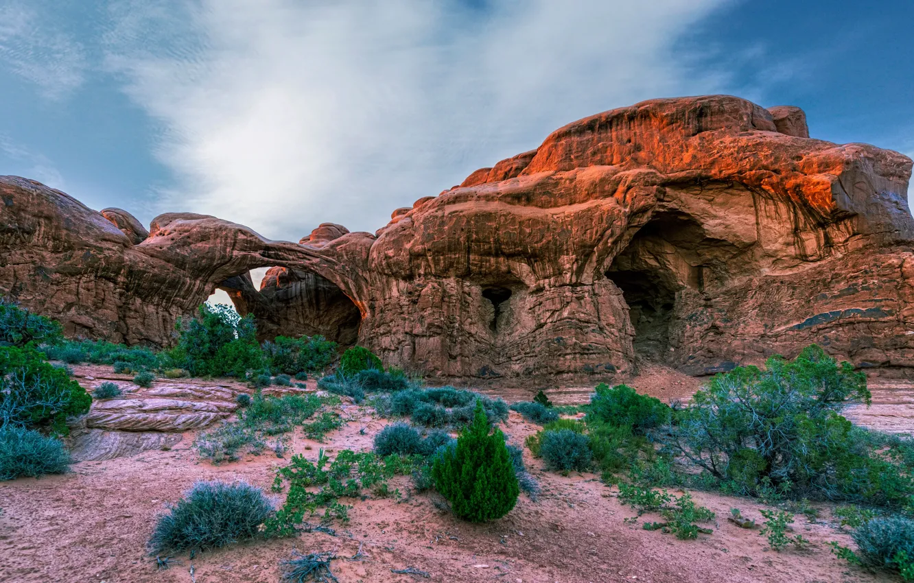 Photo wallpaper rocks, vegetation, desert, canyon