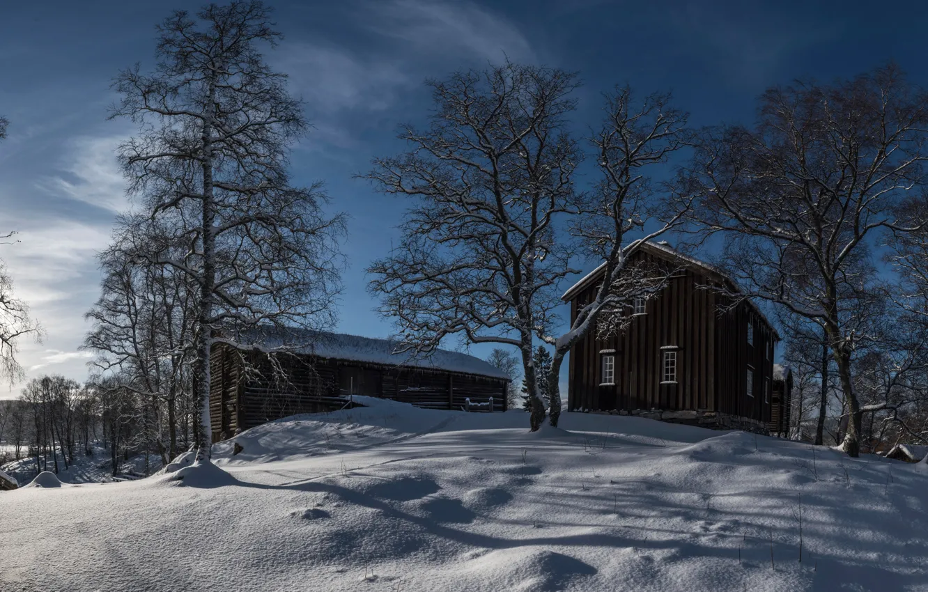 Photo wallpaper winter, snow, trees, Norway, houses, Sunny, Nord-Trondelag