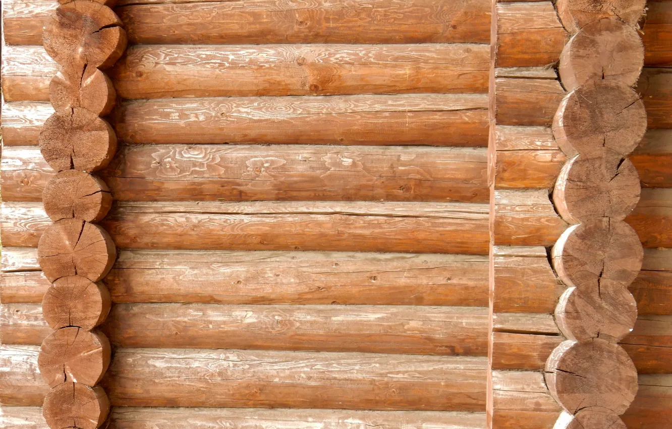 Photo wallpaper background, widescreen, Wallpaper, texture, wallpaper, log, widescreen, background