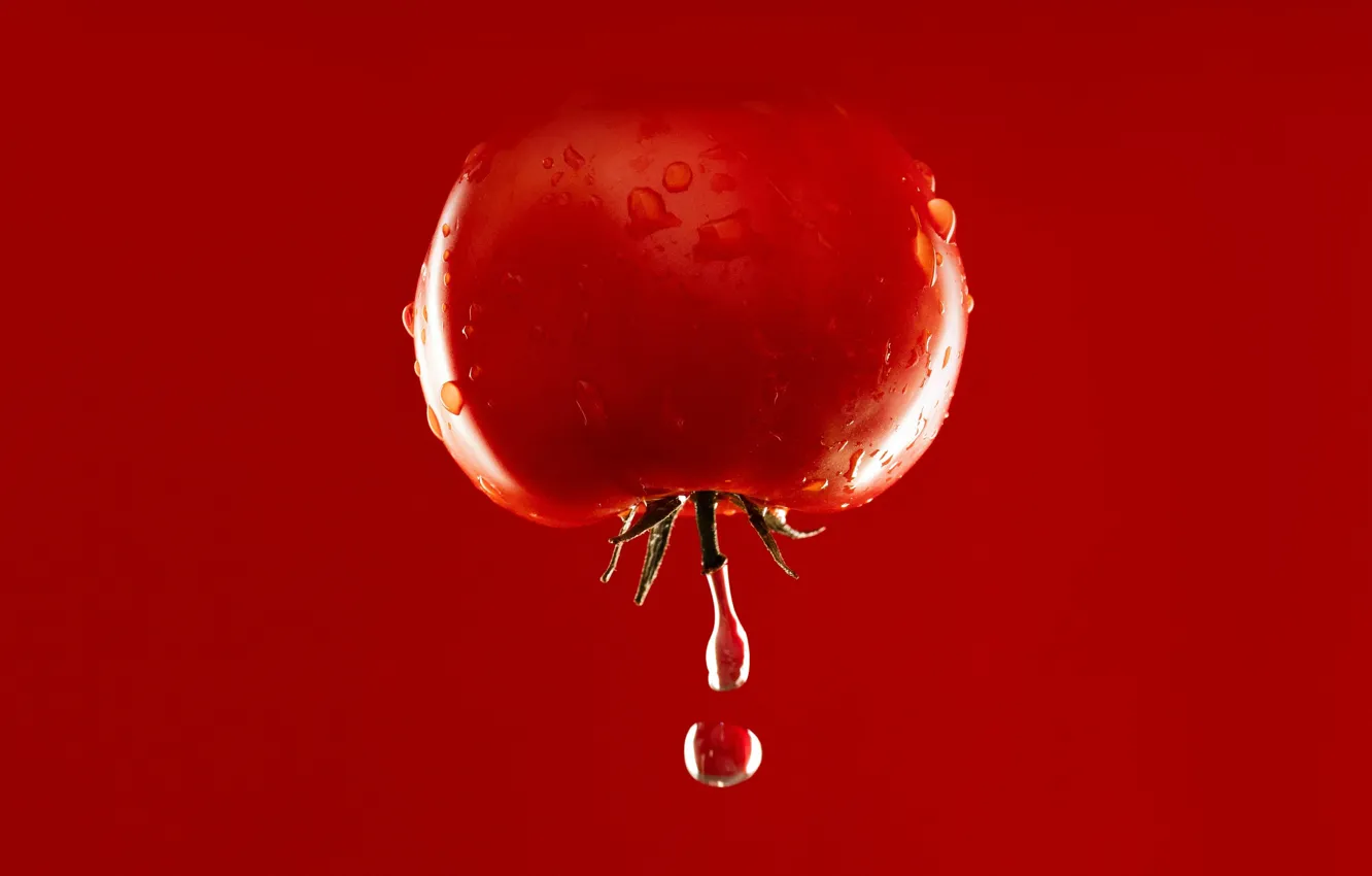 Photo wallpaper water, drop, food, tomato, tomato