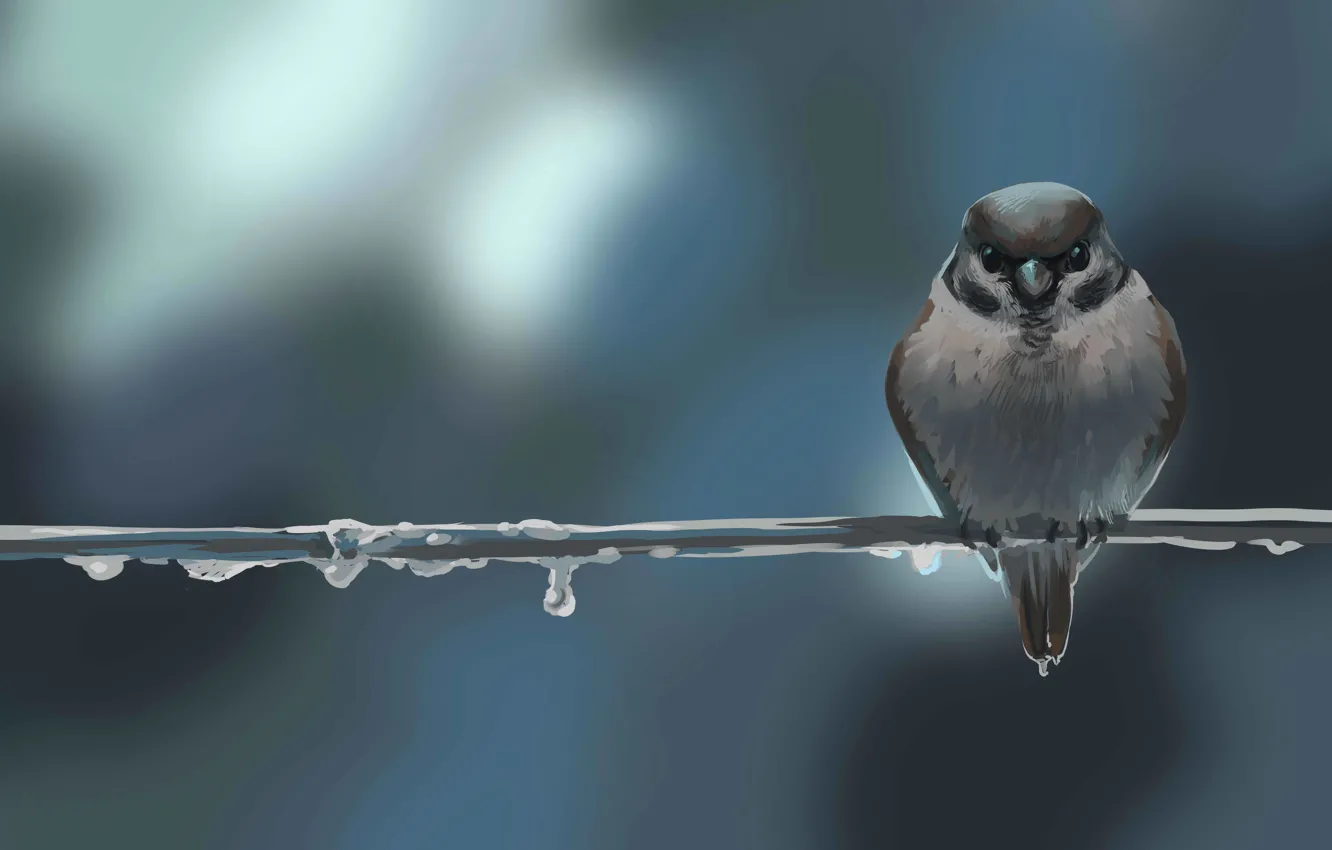 Photo wallpaper drops, background, bird, branch, art, Sparrow