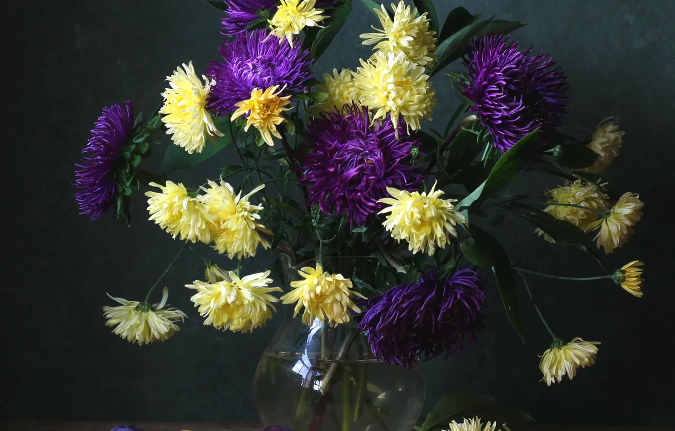 Photo wallpaper bouquet, plum, asters