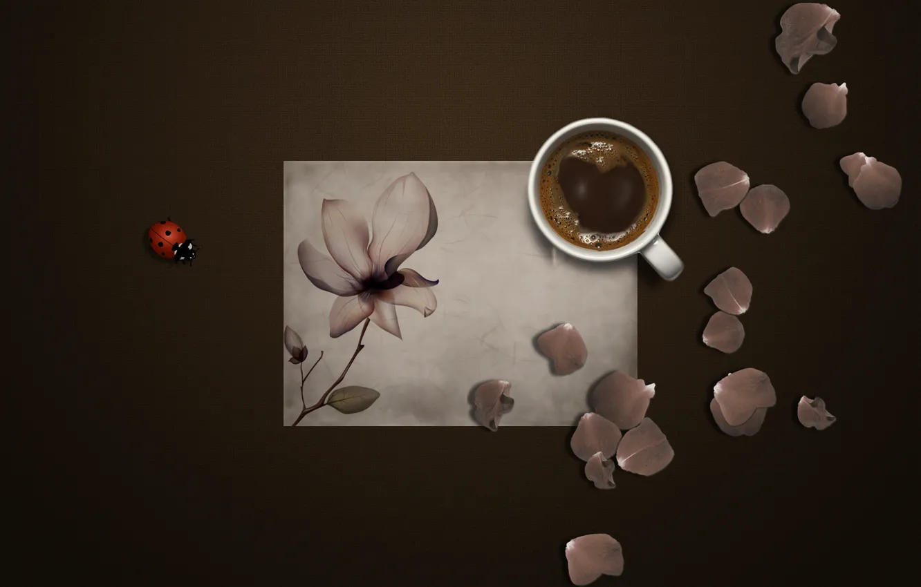 Photo wallpaper flower, paper, background, ladybug, coffee, petals, mug, insect
