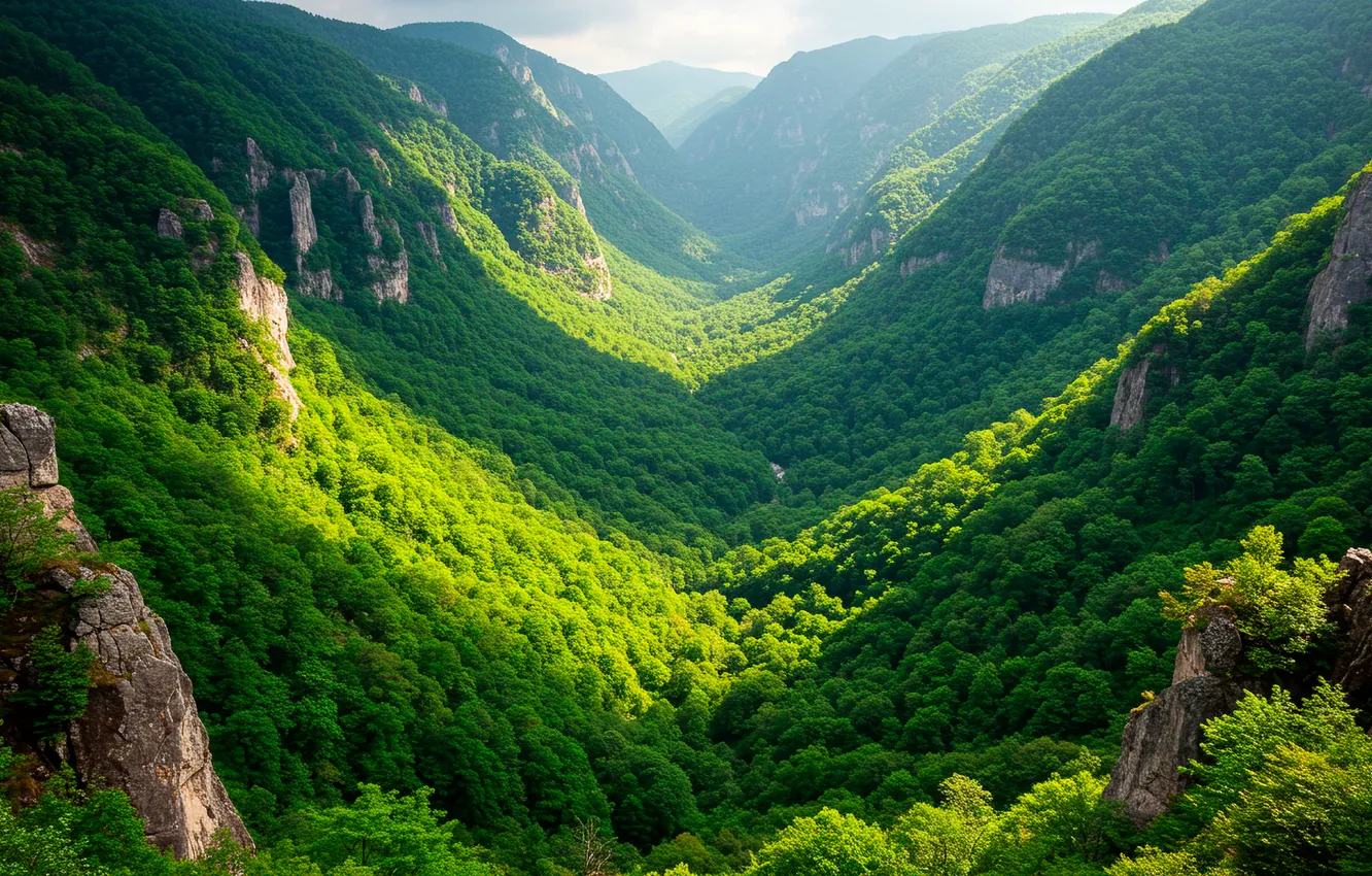 Photo wallpaper the sky, clouds, mountains, Wallpaper, vegetation, valley, haze, wallpaper