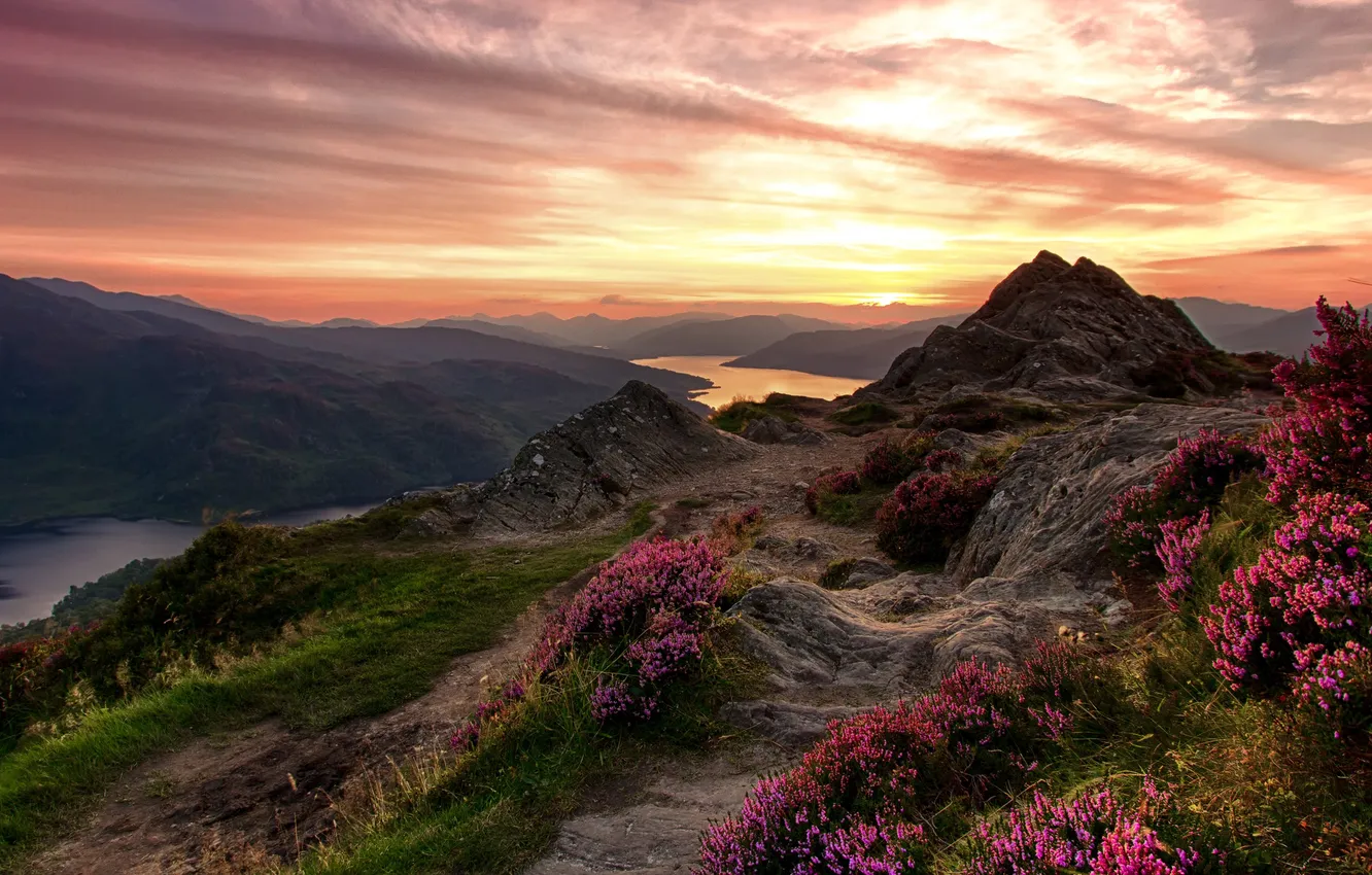 Photo wallpaper sunset, flowers, mountains, river, stones, rocks, hills, shore