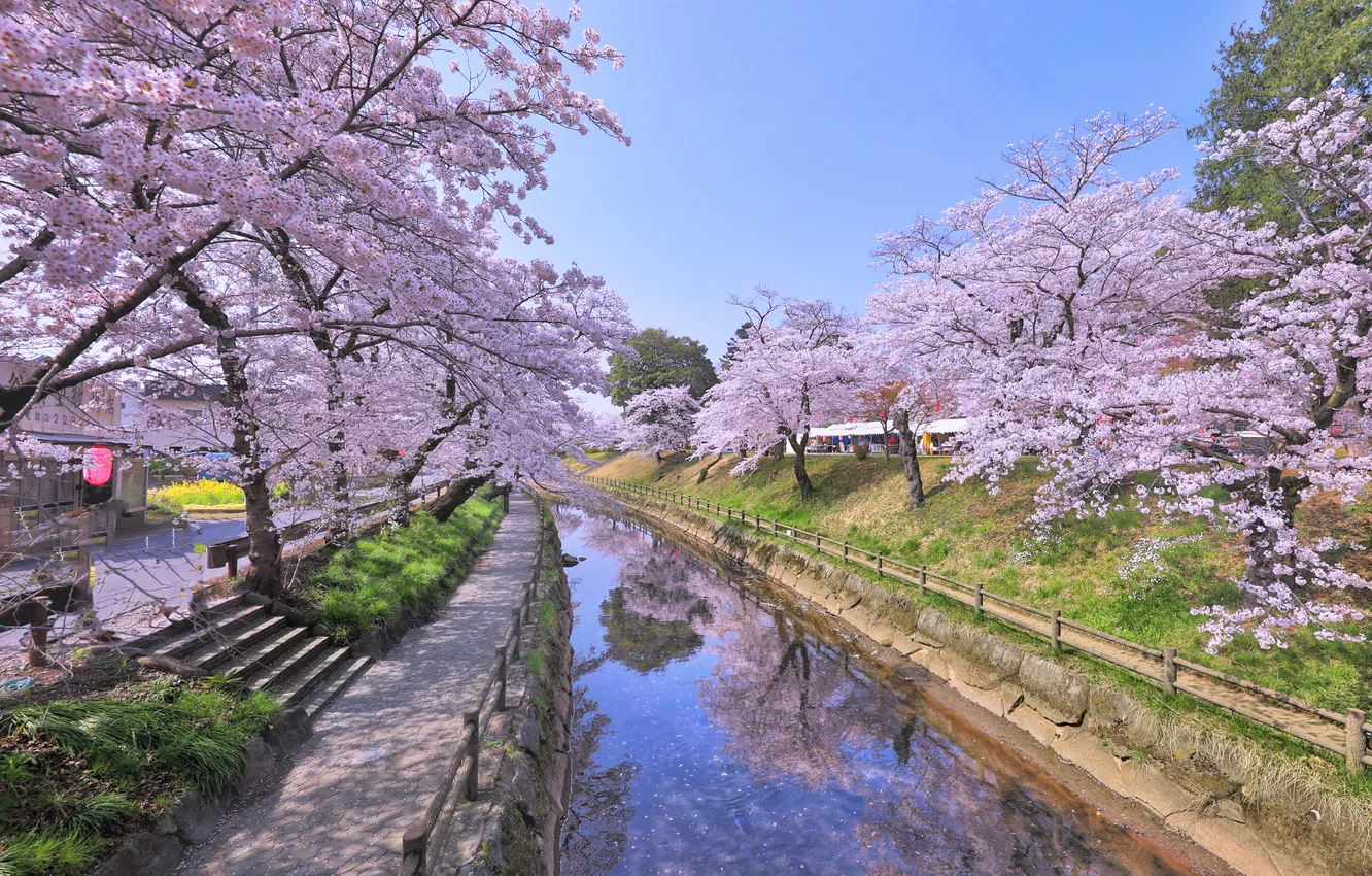Photo wallpaper the sky, trees, landscape, nature, river, Japan, Sakura, Japan