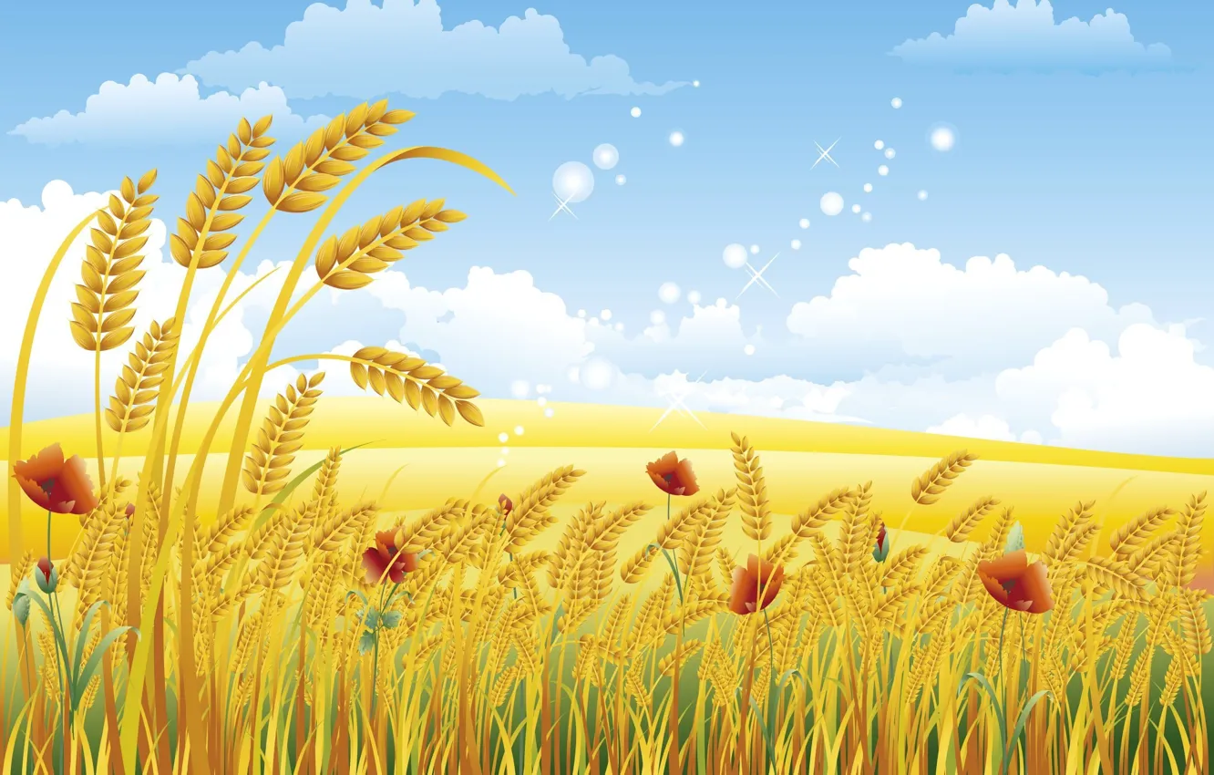 Photo wallpaper wheat, summer, clouds, Maki
