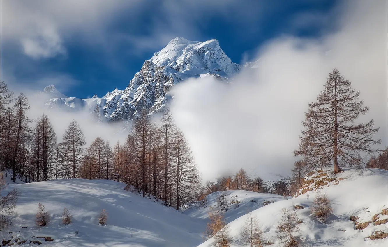 Photo wallpaper winter, forest, landscape, mountains, nature, fog