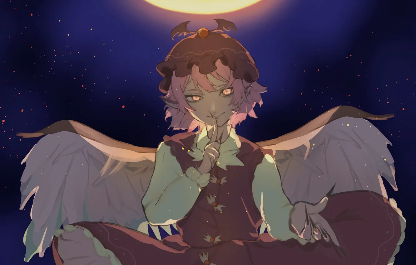 Photo wallpaper look, girl, night, wings, touhou, Touhou, Touhou