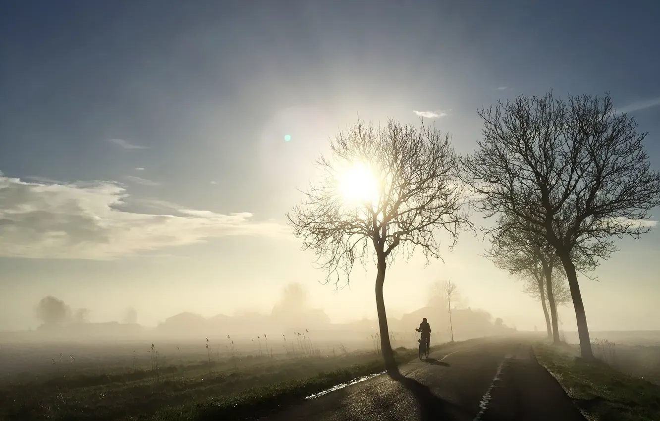 Photo wallpaper road, light, bike, fog, morning