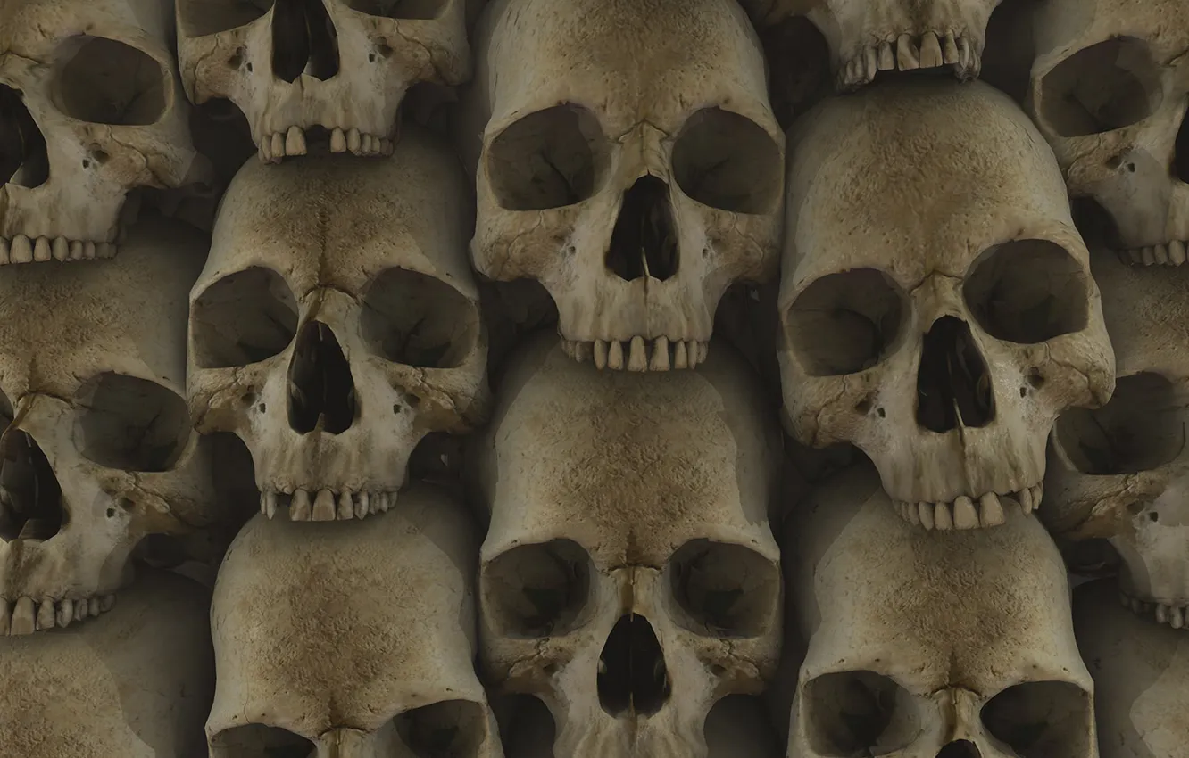 Photo wallpaper skull, texture, sake