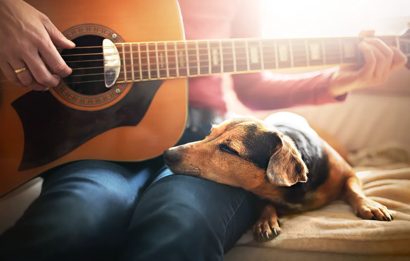 Photo wallpaper comfort, house, each, people, guitar, dog