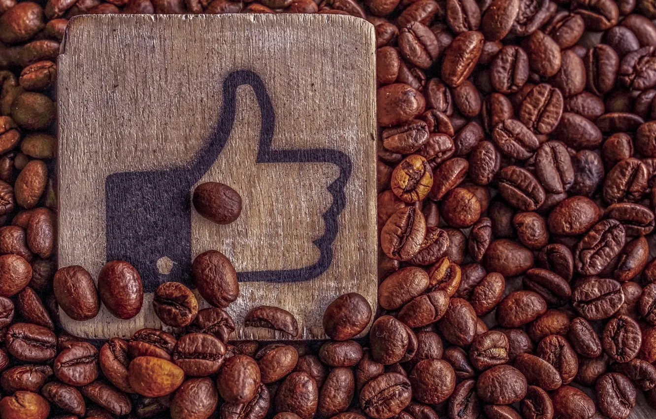 Photo wallpaper coffee, grain, plate