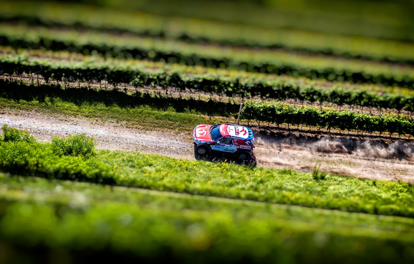 Photo wallpaper race, sport, speed, Mini, SUV, Mini Cooper, the view from the top, Rally
