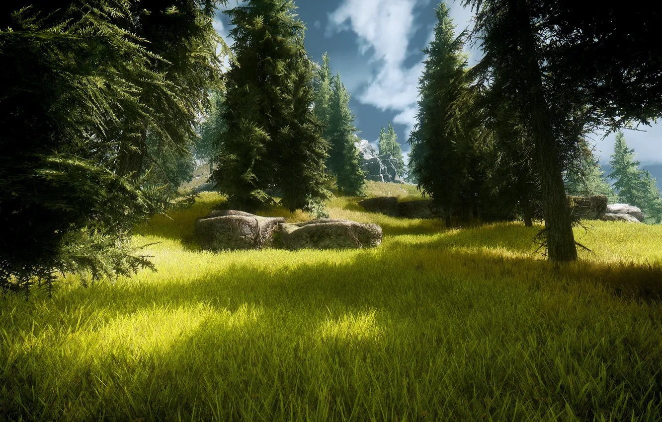 Photo wallpaper forest, fashion, Skyrim, mod