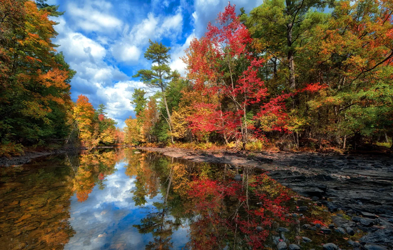 Photo wallpaper autumn, forest, the sky, water, clouds, trees, landscape, lake