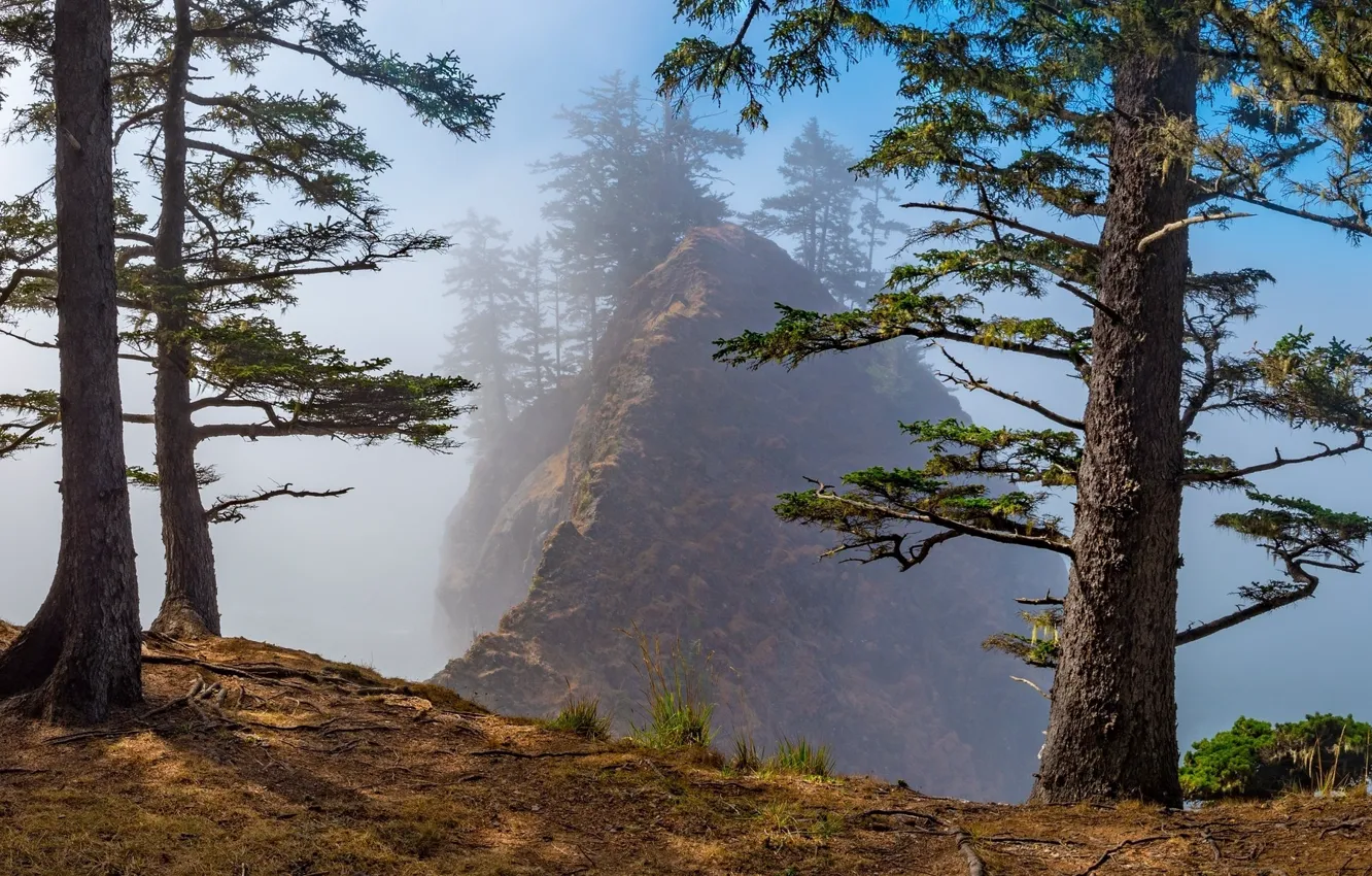 Photo wallpaper trees, mountains, nature, rocks, haze