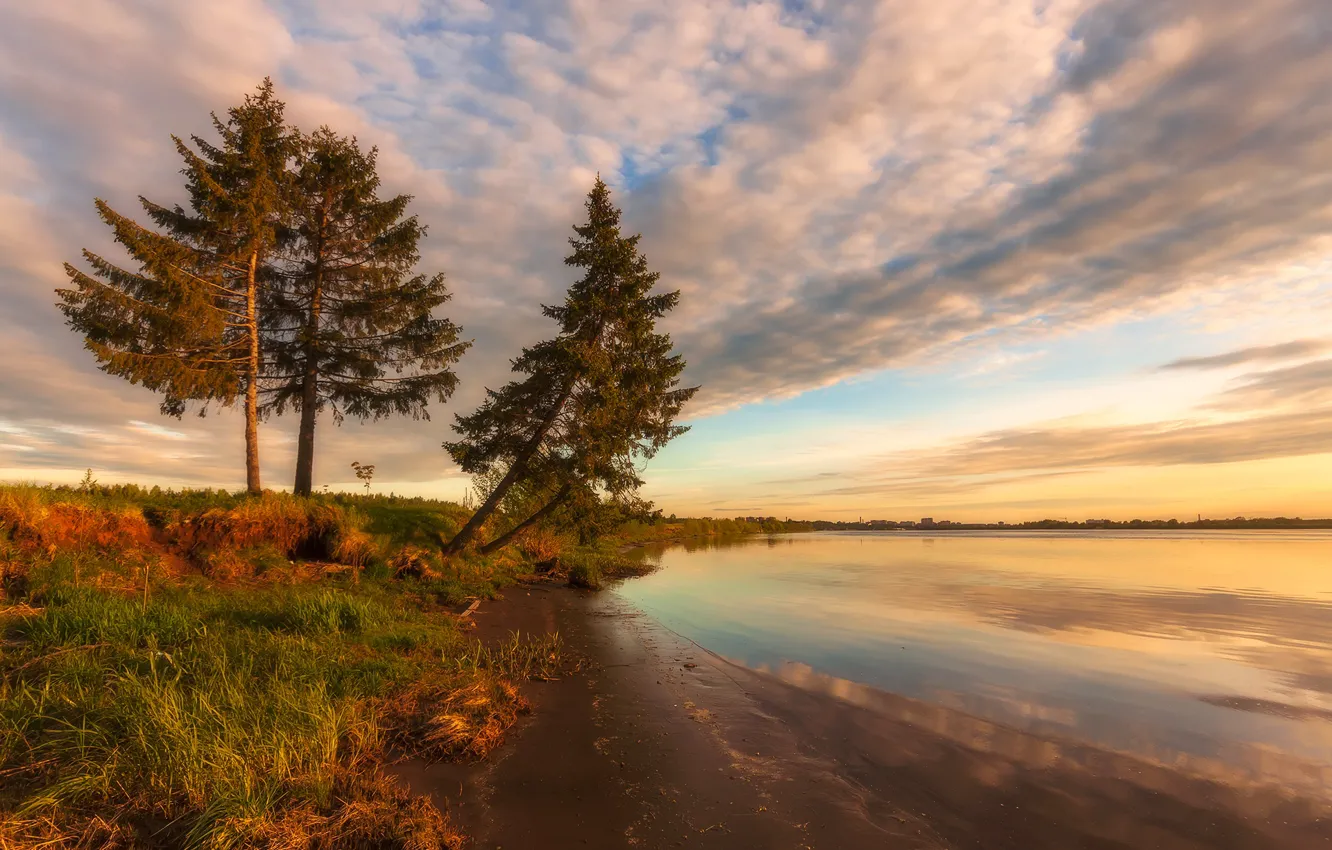 Photo wallpaper trees, landscape, sunset, nature, river, shore