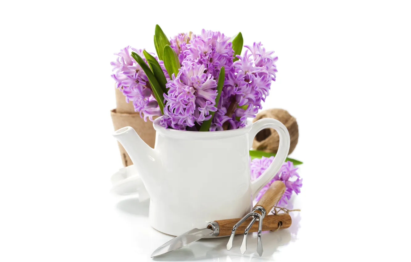 Photo wallpaper flowers, bouquet, kettle, flowers, blade, bouquet, tea, hyacinths